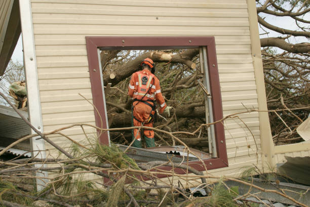 Best Tree Removal  in South Barre, VT